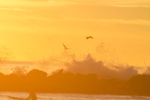 Photographers of Las Vegas - Concept Photography - California ocean sunset with surfer and seagulls