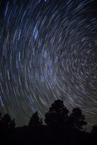 Photographers of Las Vegas - Concept Photography - Star Trails night photography against tree line long exposure