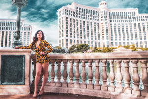 Photographers of Las Vegas 5
