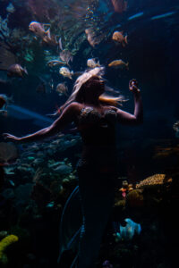 Photographers of Las Vegas 5
