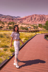 Photographers of Las Vegas 5