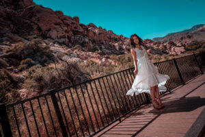 Photographers of Las Vegas 5