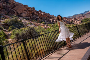 Photographers of Las Vegas 5