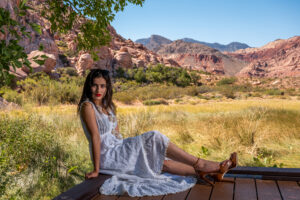Photographers of Las Vegas 5