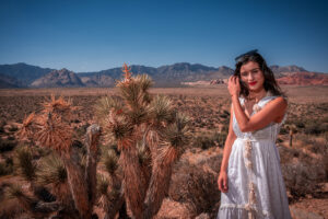 Photographers of Las Vegas 5