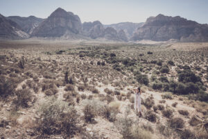 Photographers of Las Vegas 5