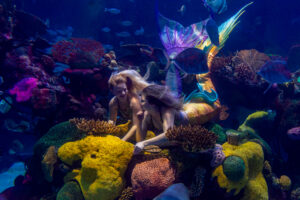 Photographers of Las Vegas 5