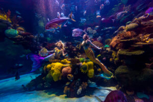Photographers of Las Vegas 5
