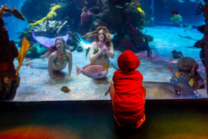 Photographers of Las Vegas 5