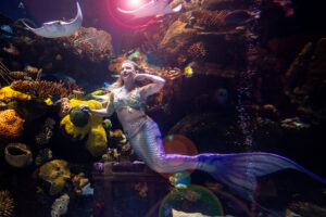 Photographers of Las Vegas 5