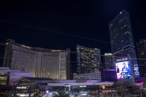 Photographers of Las Vegas 5
